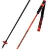 Rossignol Hero Carbon Poles