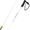 Head Worldcup SL Poles -Exporteren Atomic || Head || Swix winkel 22 wc sl stock 381072 1280x1280